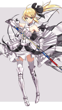 Fate/Zero