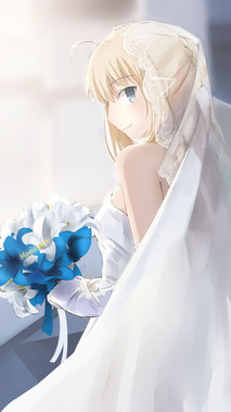 Fate/Zero