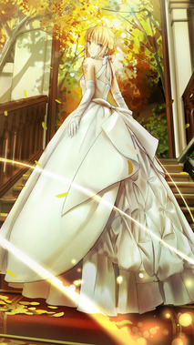 Fate/Zero