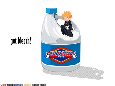 BLEACH - 1600 x 1200