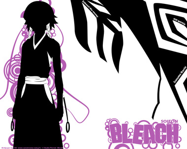 BLEACH