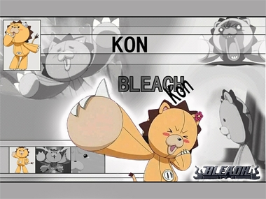 BLEACH
