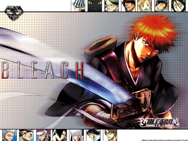 BLEACH