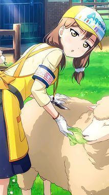 ラブライブ！サンシャイン!!