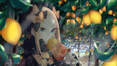 Fate/Grand Order