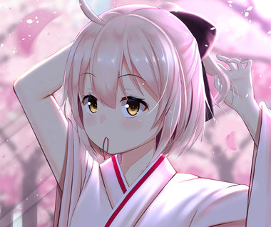 Fate/Grand Order