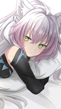 Fate/Grand Order